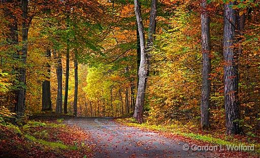 Autumn Backroad_22857.jpg - Photographed at Rideau Lakes, Ontario, Canada.